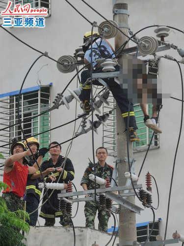 今晚新澳门开奖结果查询9+和游客三亚被蛇咬身亡与三亚被蛇咬了