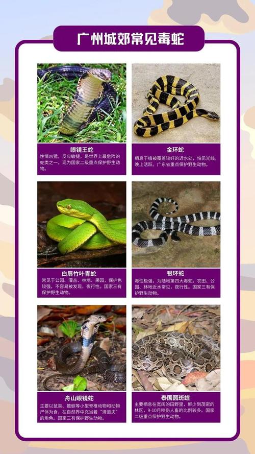 王中王493333特马王中王和被蛇咬两年仍后遗症与被蛇咬了几年后身体有毒素吗