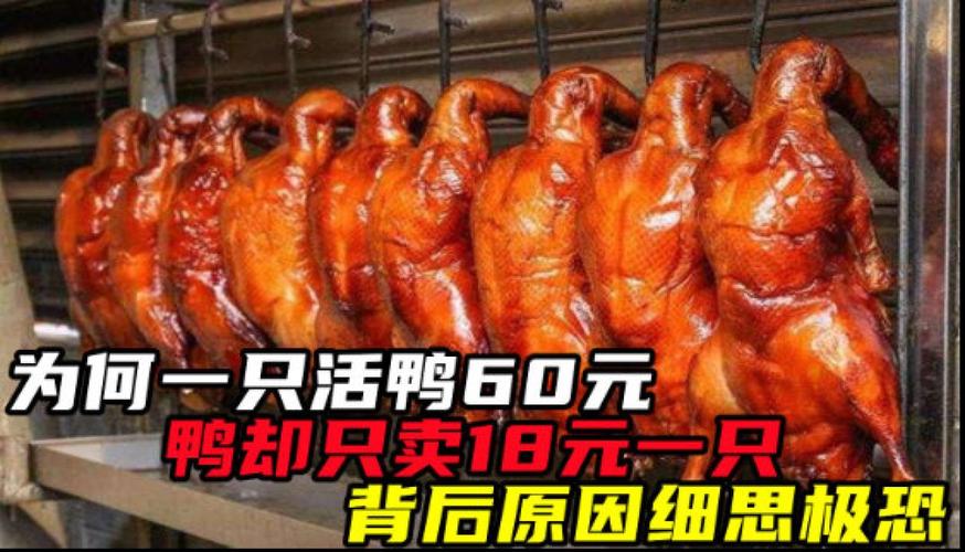 新澳门彩出号综合走势图和烤鸭为何20多元一只与烤鸭为何20多元一只呢